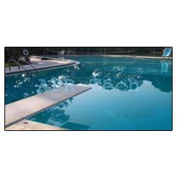 Manufacturers Exporters and Wholesale Suppliers of Diving Pool New Delhi Delhi